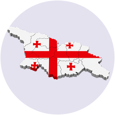 Made in Georgia